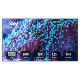 Fscreen 中投 ALR 100'' 固定框架菲涅尔屏幕